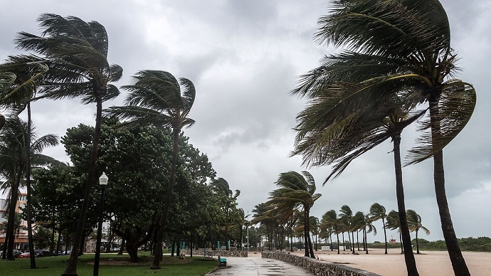 windy weather xalandri