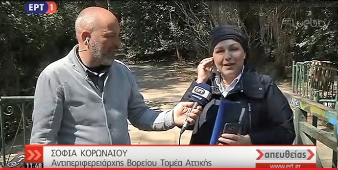 korwnaiou psekasmoi