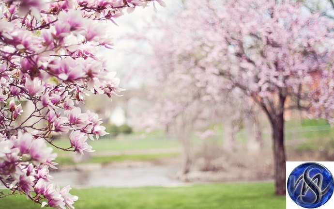 spring weather 29 1