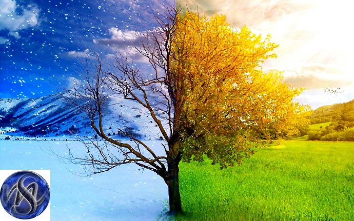 winter spring
