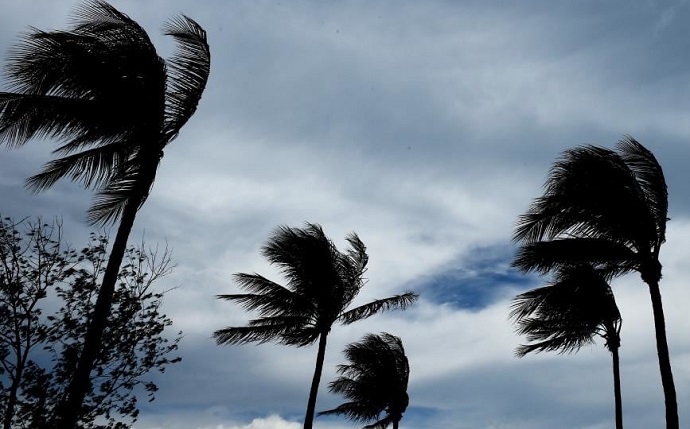 strong wind 29 5