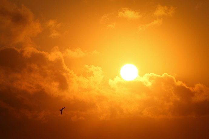 sun xalandri 5 6