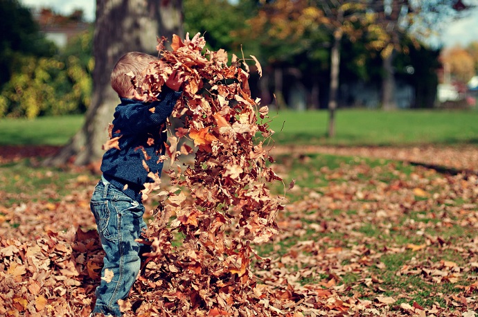 autumn 8 10