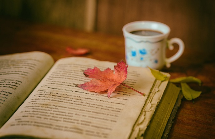 book cafe