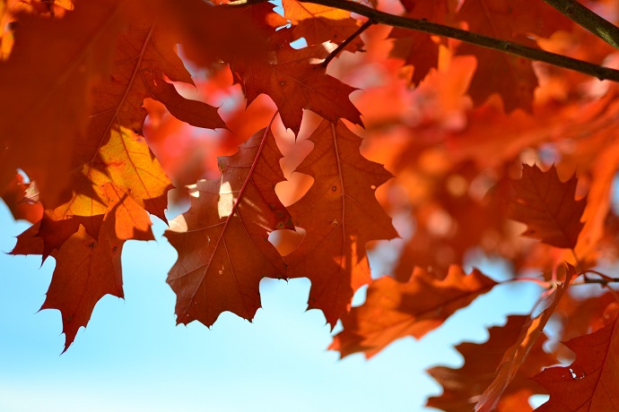 autumn weather 2 10