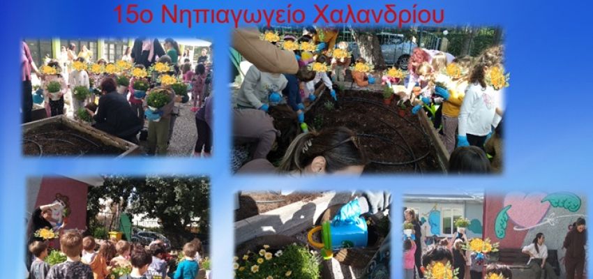 Μαθητές, γονείς και Δήμος δημιούργησαν έναν πρότυπο σχολικό ανθόκηπο στο 15ο Νηπιαγωγείο Χαλανδρίου