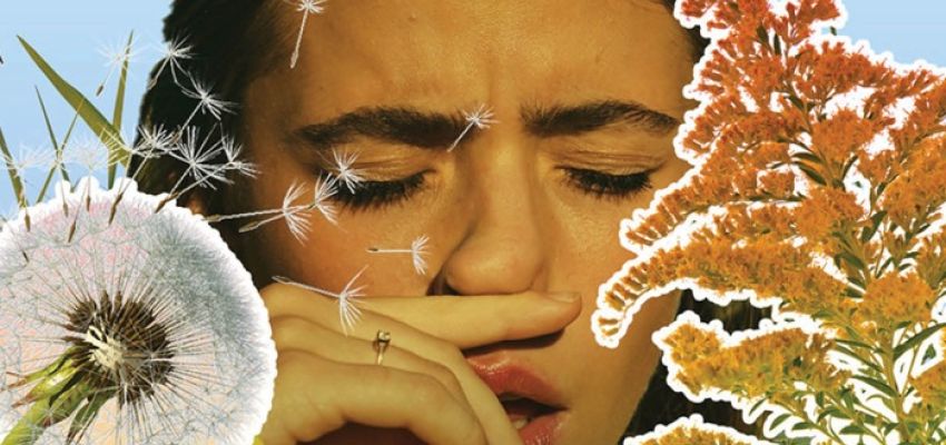 “Πρόληψη και αντιμετώπιση λοιμώξεων και αλλεργιών”: Ενημερωτική δράση αγωγής υγείας στο Χαλάνδρι