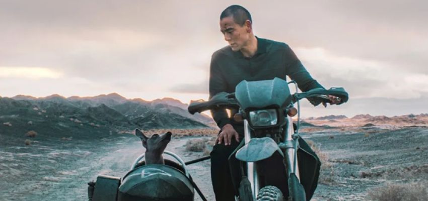 Cine ΑΡΓΩ: Προβολή της ταινίας “Black dog”, στο Κέντρο Νεότητας Χαλανδρίου