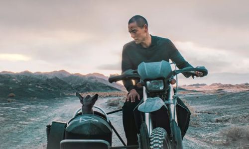 Cine ΑΡΓΩ: Προβολή της ταινίας “Black dog”, στο Κέντρο Νεότητας Χαλανδρίου