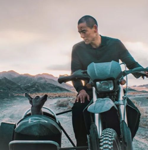 Cine ΑΡΓΩ: Προβολή της ταινίας “Black dog”, στο Κέντρο Νεότητας Χαλανδρίου