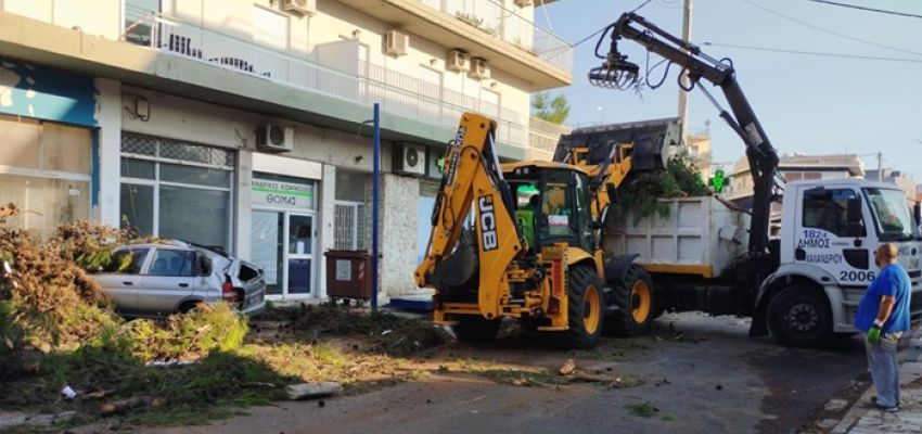 Δήμος Χαλανδρίου: Ολοκληρώθηκε η απομάκρυνση δέντρου που έπεσε από τους δυνατούς ανέμους