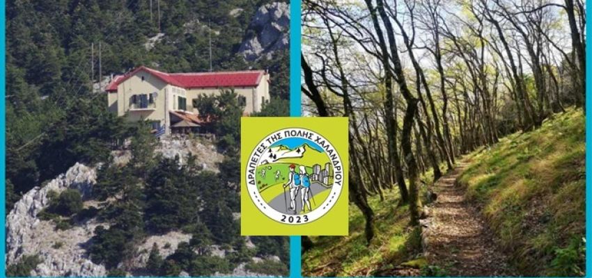 “Δραπέτες της πόλης Χαλανδρίου”: Νέες δράσεις τον Μάρτιο