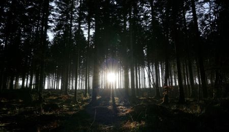 “Exodus”: Ομαδική Διακαλλιτεχνική Έκθεση, στο Κέντρο Νεότητας Χαλανδρίου