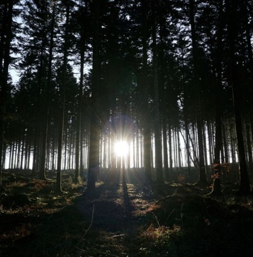 “Exodus”: Ομαδική Διακαλλιτεχνική Έκθεση, στο Κέντρο Νεότητας Χαλανδρίου