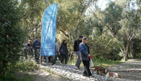 “Κυνηγώντας την ουρά μας!”: 5ος αγώνας δυναμικού βάδην 2 χλμ. με ζώα συντροφιάς, στο Χαλάνδρι